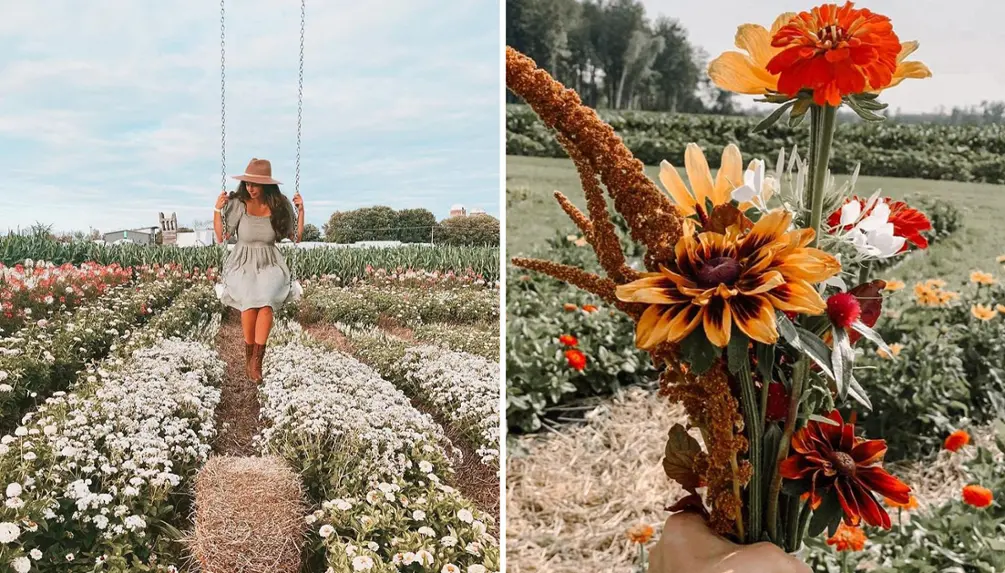 Festifleurs - La Belle de Coteau-du-Lac