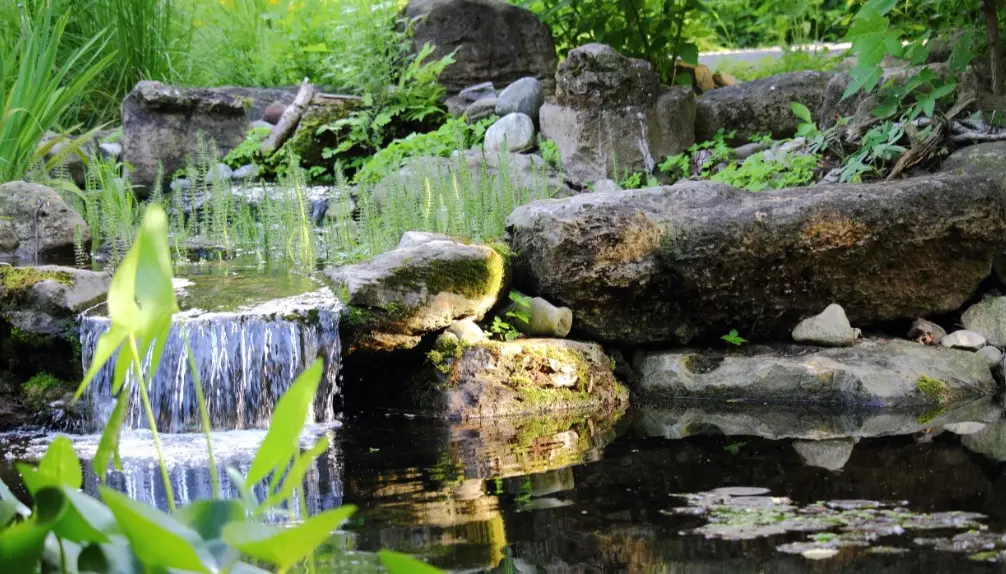 Jardin Daniel A. Séguin - Visitez nos jardins