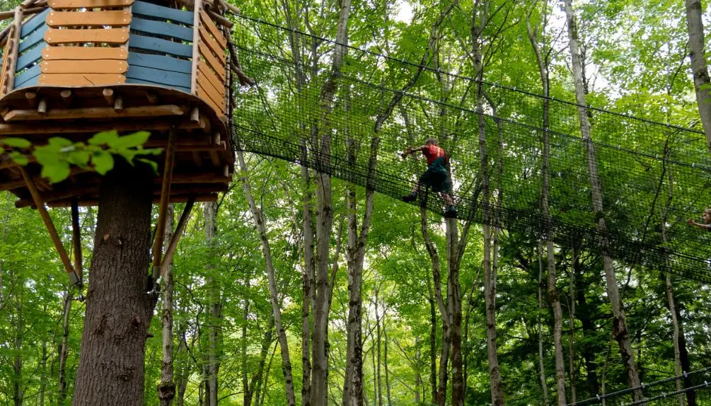 Bois des Lutins Drummond | Aventure féerique en forêt