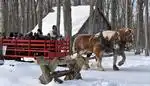 Sucrerie de la Montagne - Cabane à sucre, érablière Rigaud