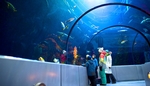Aquarium du Québec (Aquarium de Quebec) 