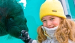 Aquarium du Québec (Aquarium de Quebec) 