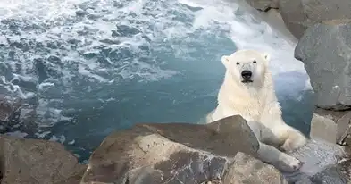 Aquarium du Qu&eacute;bec (Aquarium de Quebec)