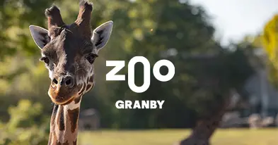 Zoo de Granby | Animaux - Man&egrave;ges - Amazoo