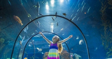 Aquarium du Québec