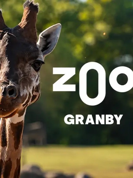 Zoo de Granby | Animaux - Manèges - Amazoo