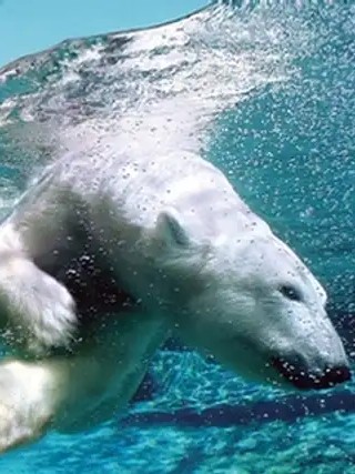 Aquarium du Québec