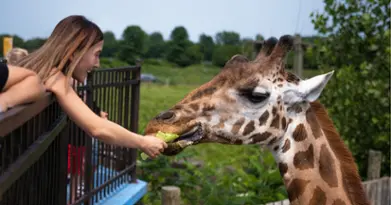 Parc Safari - ouvert à l'année ! 