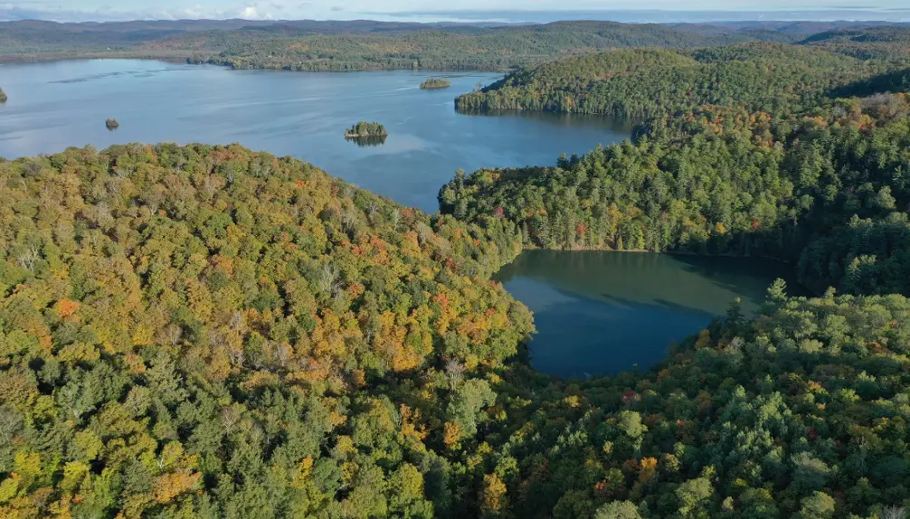 Découvrez la Forêt la Blanche