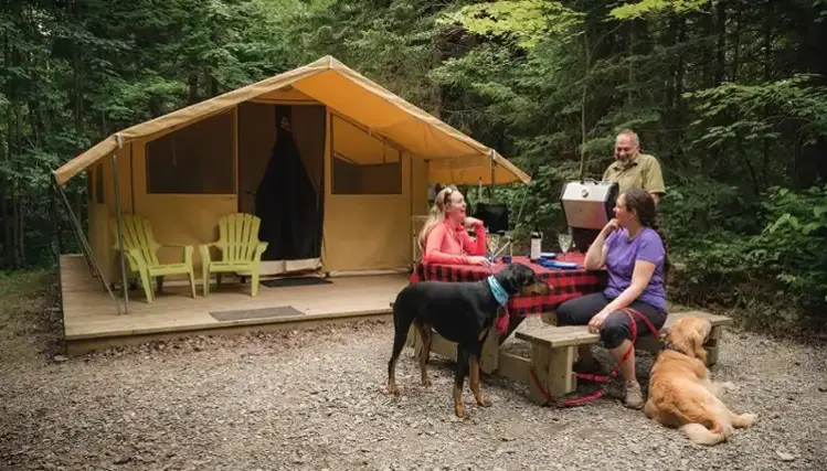 CAMPER AU PARC DES APPALACHES 