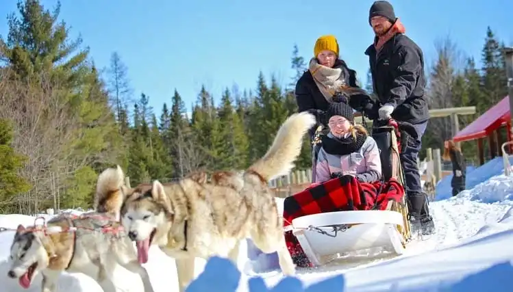  Au Chalet au Bois Rond : Une balade en traîneau à chiens, une expérience unique!