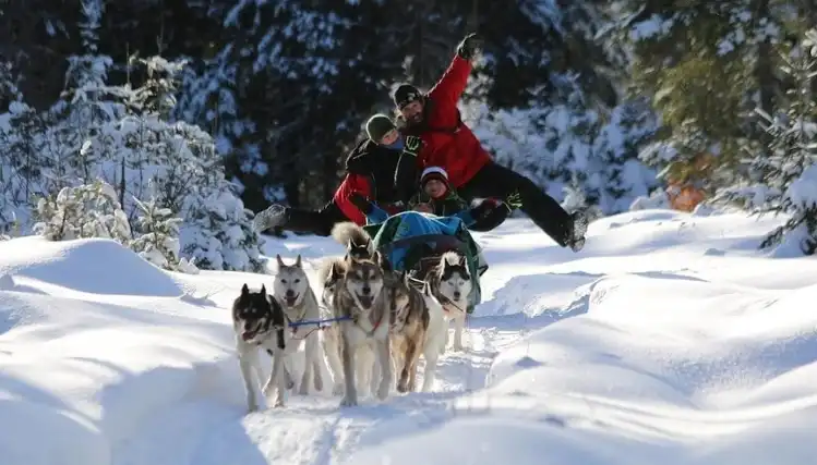 Alaskan Aventure Tremblant : Aventure en chiens de traîneau