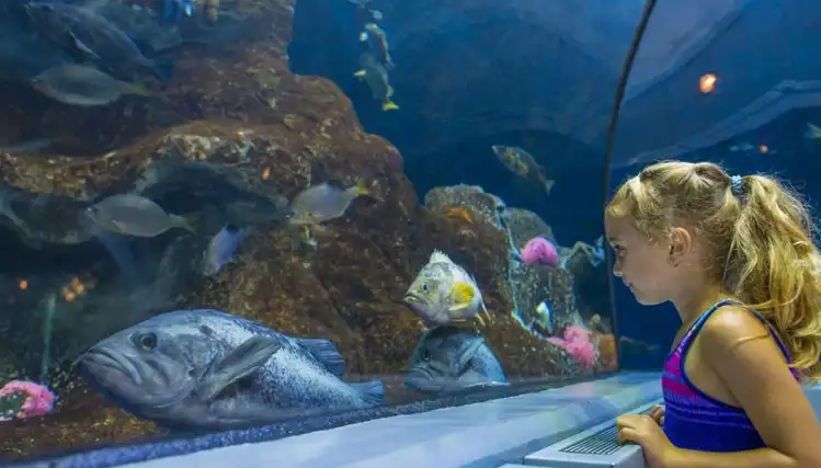 Aquarium de Québec : Aventure Marine en Famille pour la Semaine de Relâche
