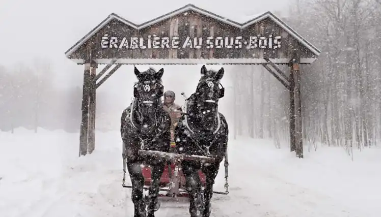 Érablière Sous-bois : Une Aventure Gourmande