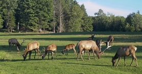 Parc Oméga - Montebello