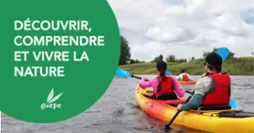Guepe - Aventure et plein air