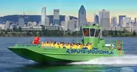 Jet Boating  - Saute-Moutons sur les rapides de Lachine