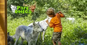 Parc Oméga : des hébergements en communion avec la nature