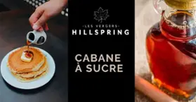 Les Vergers Hillspring - cueillette de pommes - mini ferme