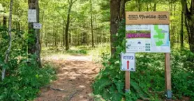 Centre d’interprétation du ruisseau McFee et le parc du sentier de la nature 
