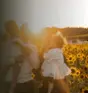 Tournesols en Fleurs - La Belle de Coteau-du-lac  Thumbnail 3