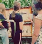 Verger Labonté Labyrinthes - Adulte  Thumbnail 3